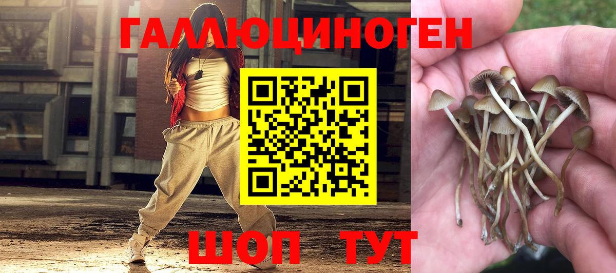 Красный Сулин  Галлюциногенные грибы MAGIC MUSHROOMS  Псилоцибиновые грибы GOLDEN TEACHER  Вход с VPN 